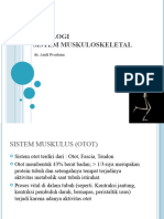 Fisiologi Sistem Muskuloskeletal