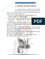 L7 Urethra, Congenital Anomalies &injuries