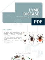 Lyme Disease