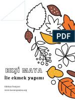 Eksi Maya