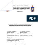 Informe de Práctica Profesional Pedro Tovar-4