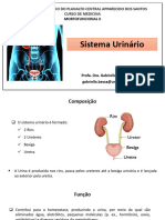 3-Sistema UrinÃ¡rio Histologia