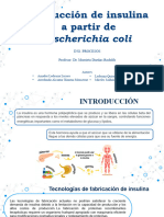 Presentacion Final de Proyecto