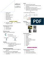 Vitaminas, Minerais e Genômica Nutricional