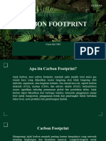 Carbon Footprint 1