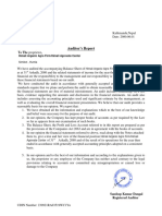Audit Report PLT. - Copy-1