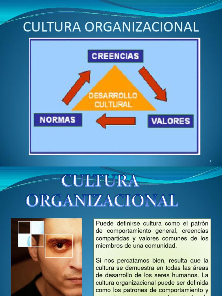 Cultura Organizacional | PDF | Business | Calidad (comercial)