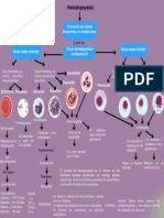 Emetopoyesis MAPA