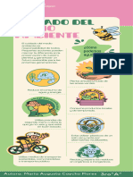 Infografía Cuidado Del Medio Ambiente Creativo Verde