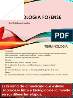 Tanatologia Forense - Nidia Rosales Gonzalez - Diapositiva-FB