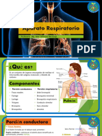 Semana 9 Sistema Respiratorio Porcion Conductora Exposicion 9 para Clase Explicado Profesora Ana