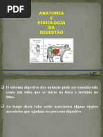 Anatomia do Estômago dos Ruminantes | PDF | Sistema digestivo humano ...