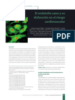 El Endotelio Sano y Su Disfunción en El Riesgo Cardiovascular