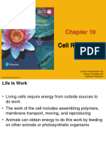 Week 5 Cellular Respiration