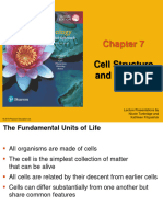 Week 1 Cell Structure and Function