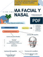 Presentación Proyecto Trabajo Creativa Profesional Azul