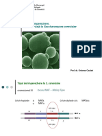 Curs 7 MAT-Ciclu Viata-Biol Exp III-2023 - NC