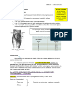 Exploración en La Embarazada - GINECO I