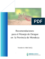 Recomendaciones para El Majejo de Dengue en La Provincia de Mendoza. Version 0. Abril 2022