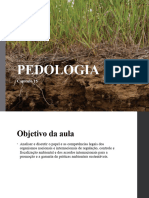 PEDOLOGIA