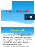 Curs 5 - L'appareil Digestif