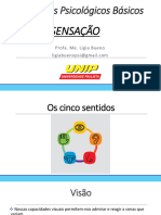 Aula 3 - Sensação - Visão