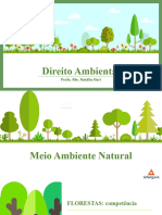 Aula 6 - Direito Ambiental