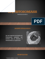 Esquistosomiasis - Material Complementario