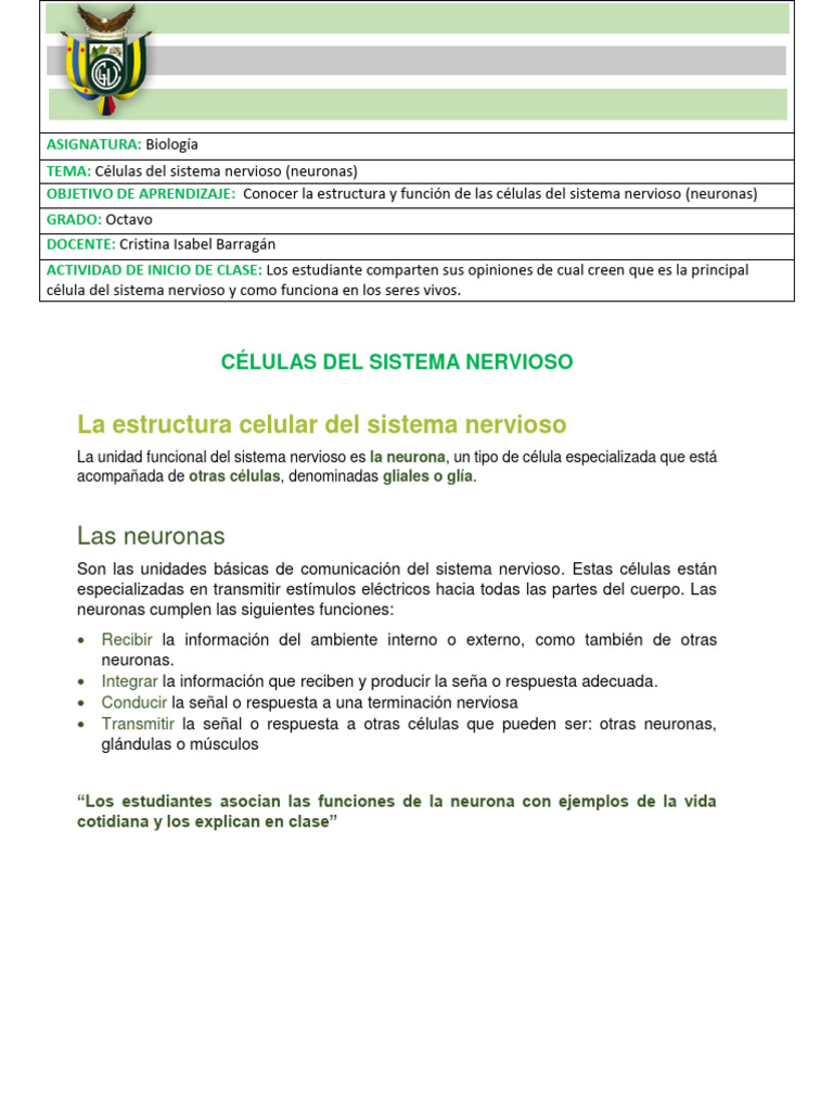 Estructura y funciones de las neuronas | PDF | Neurona | Sistema nervioso