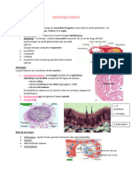 Pathologie Tubaire