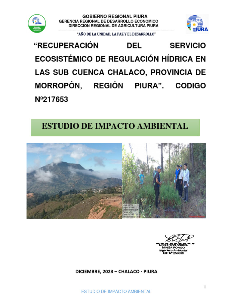 Estudio de Impacto Ambiental 2 - Chalaco | PDF | Los bosques | Entorno ...
