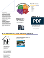 Folleto de Prevencion de La Violencia Intrafamiliar