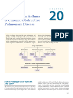 Druges Used in Asthma and COPD