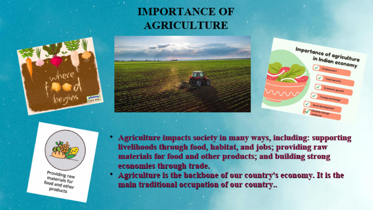 Importance of Agriculture in Society | PDF