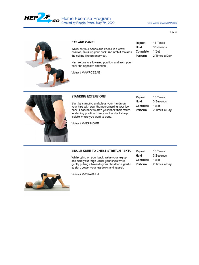 Low Back Home Exercise Program PDF Hand Anatomical Terms Of Motion