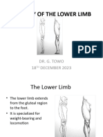 Anatomy of The Lower Limb - DR. G. Towo