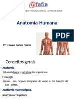 Posição Anatômica Do Corpo Humano
