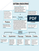 Mapa Conceptual Del Sistema Endocrino 4 2