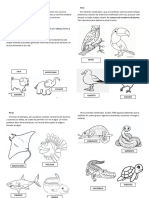 Clasificación de los Animales