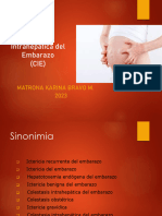Colestasia Intrahepática Del Embarazo (CIE) : Matrona Karina Bravo M. 2023
