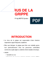 Virus de La Grippe