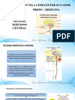 Sistema Nervioso Central