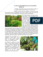 La Importancia Del Mantenimiento en El Paisajismo Tropical