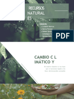 Grupo 03 Recursos Naturales