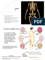 Unidad 2.1 Generalidades Sist. Oseo