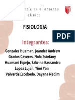 Fisiologia Sesion 4