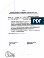 Formato de Anexo Municipalidad de San Luis.