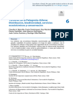 Conservation in Chilean Patagonia - Mansilla Et Al., 2024 Es