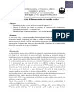Informe 2 - LUF Concentración Micelar Critica