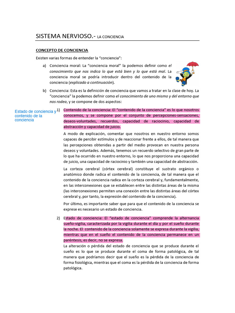 Conciencia y Coma: Conceptos Clave | PDF | Coma | Sistema nervioso